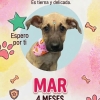 Mar