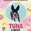 Tuna 