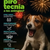 ¿Cómo daña la pirotecnia?