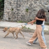 Dona un paseo