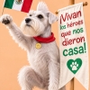 Héroes que nos dieron una casa