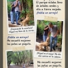 Un día en el bosque