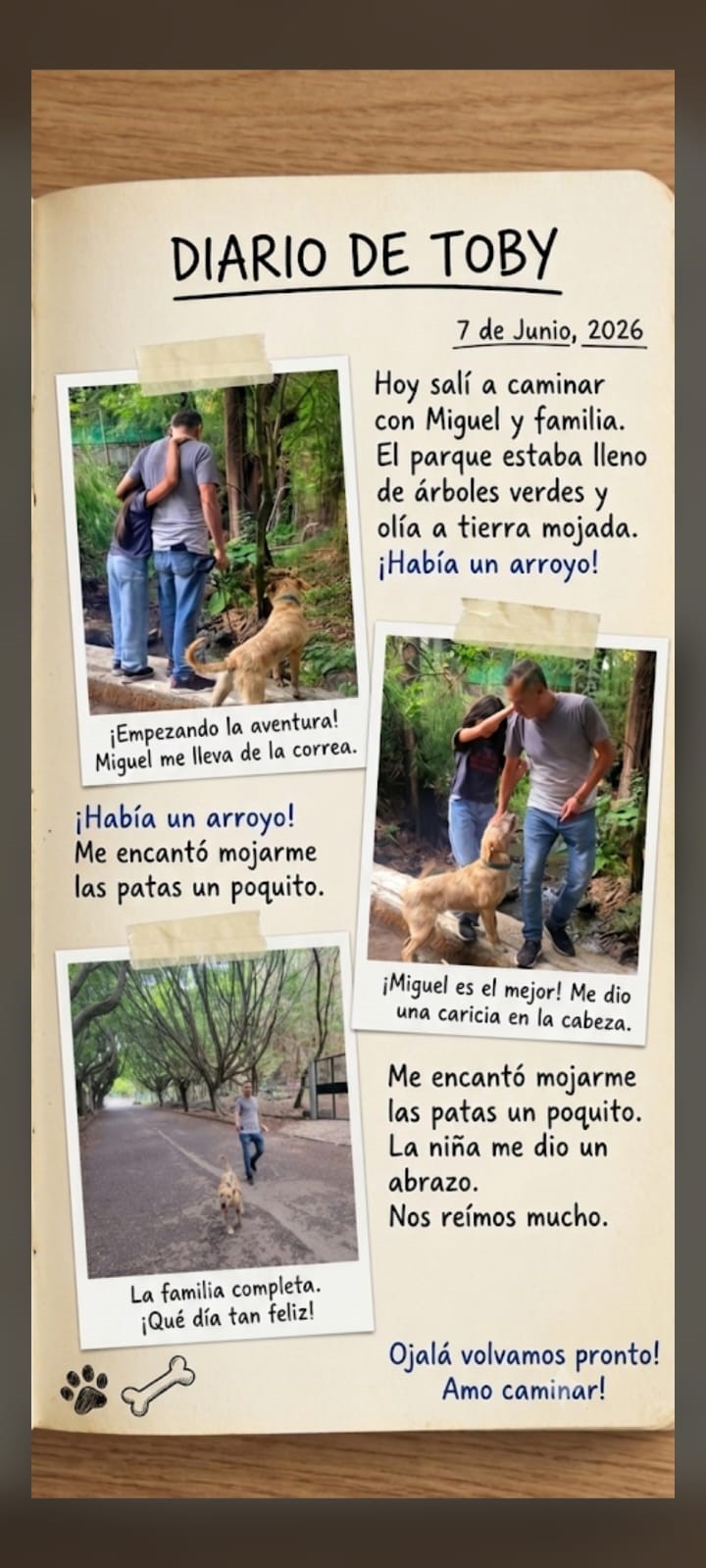Un día en el bosque