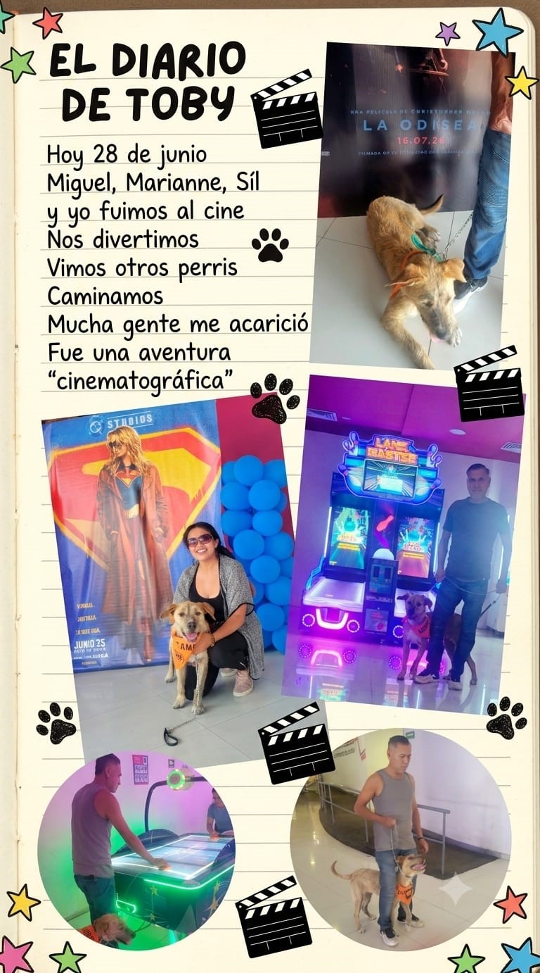 ¡Lleva a tu compañero peludo al cine!