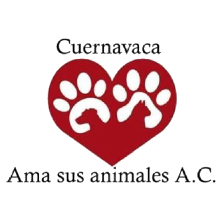 Ama a los animales